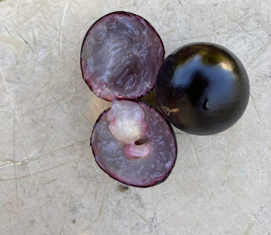 353387619_10160670620970419_1672958938092850286_n