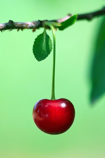 0f0e67b07634754aebe0864023e5fd17.jpg
