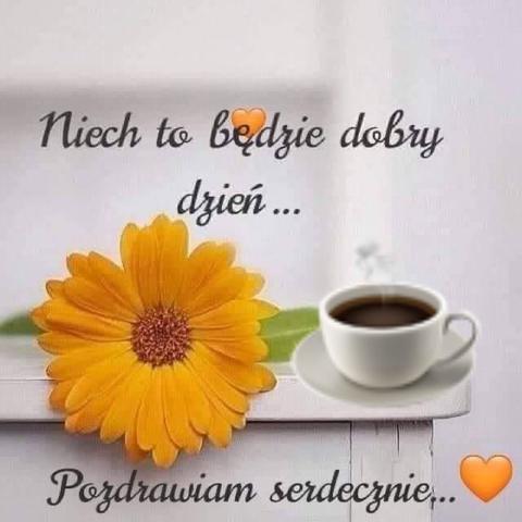 a4738f826772a44106e545bd06c78444