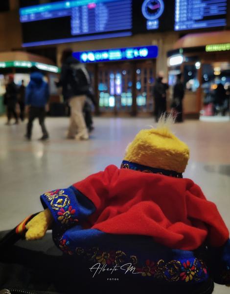 Auroras - 3.er reportaje por Laponia norte - Marzo 2025 - Blogs de Finlandia - PARTE I (20)