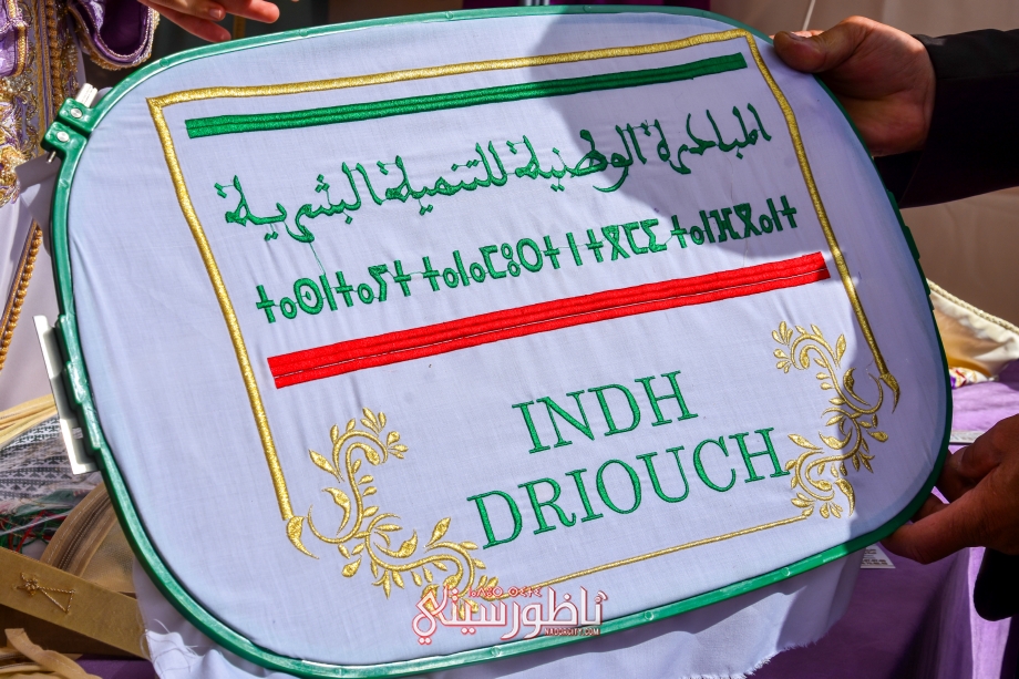 DSC-0801