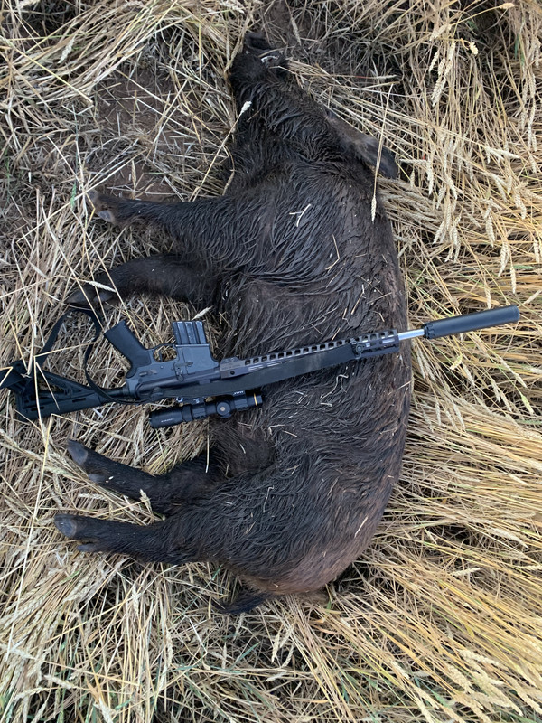 48E62AAC-18E8-46C8-A4EC-CC8D2279B742