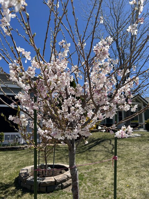 [Image: IMG-4698.jpg]