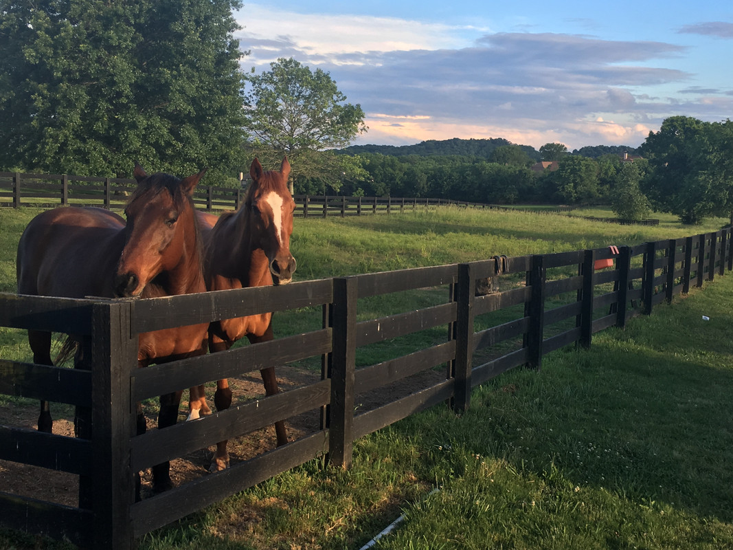 737C8C9C-F76E-4A78-A201-C86D4F4E3950