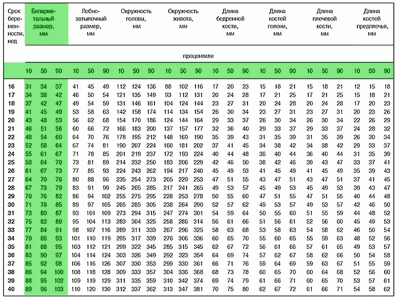 35 недель размеры