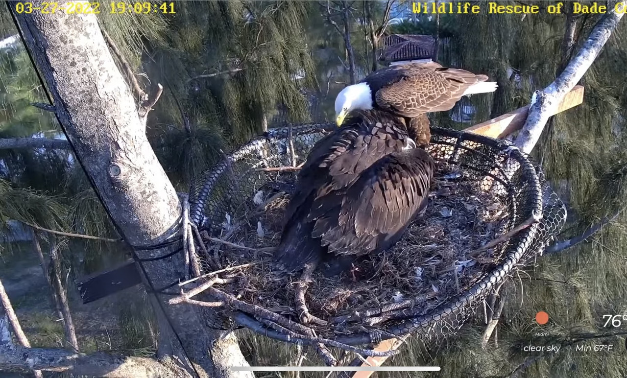 AC368C86-2616-47AA-AEAD-FA2EED18AC86