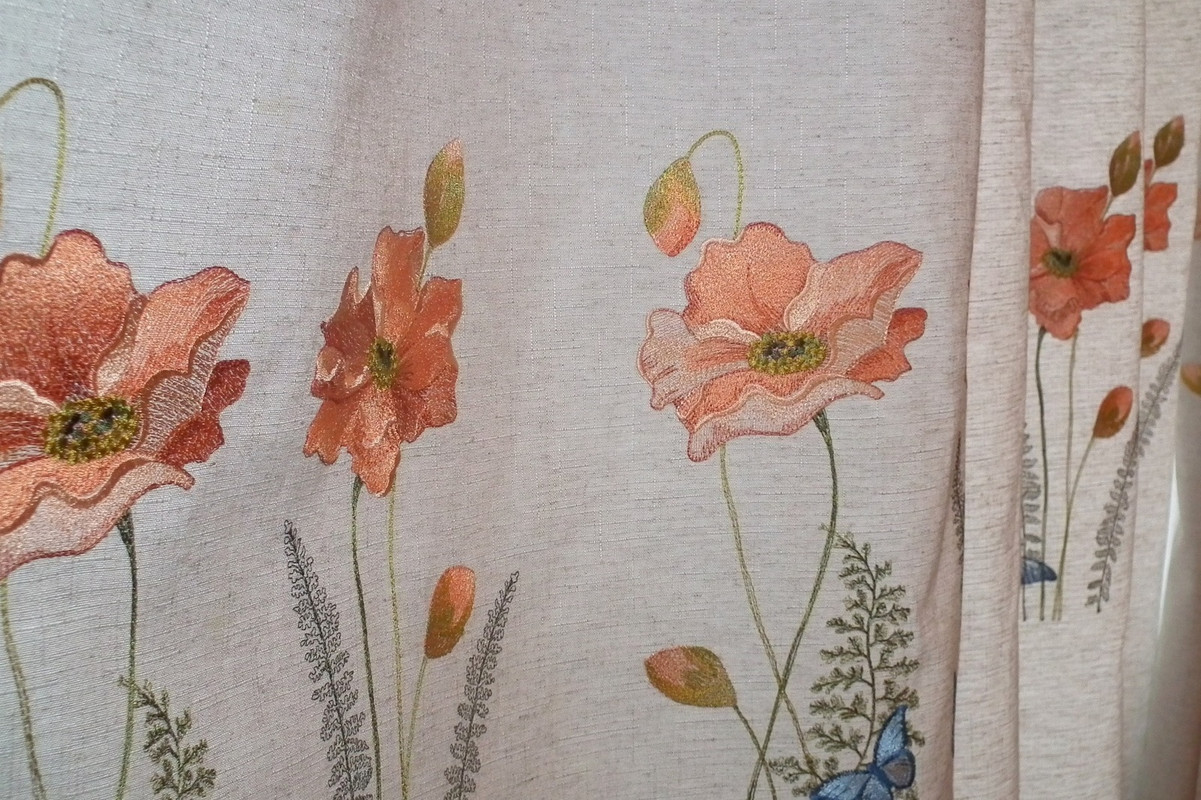 DSCF6839JP_2834428_25044247