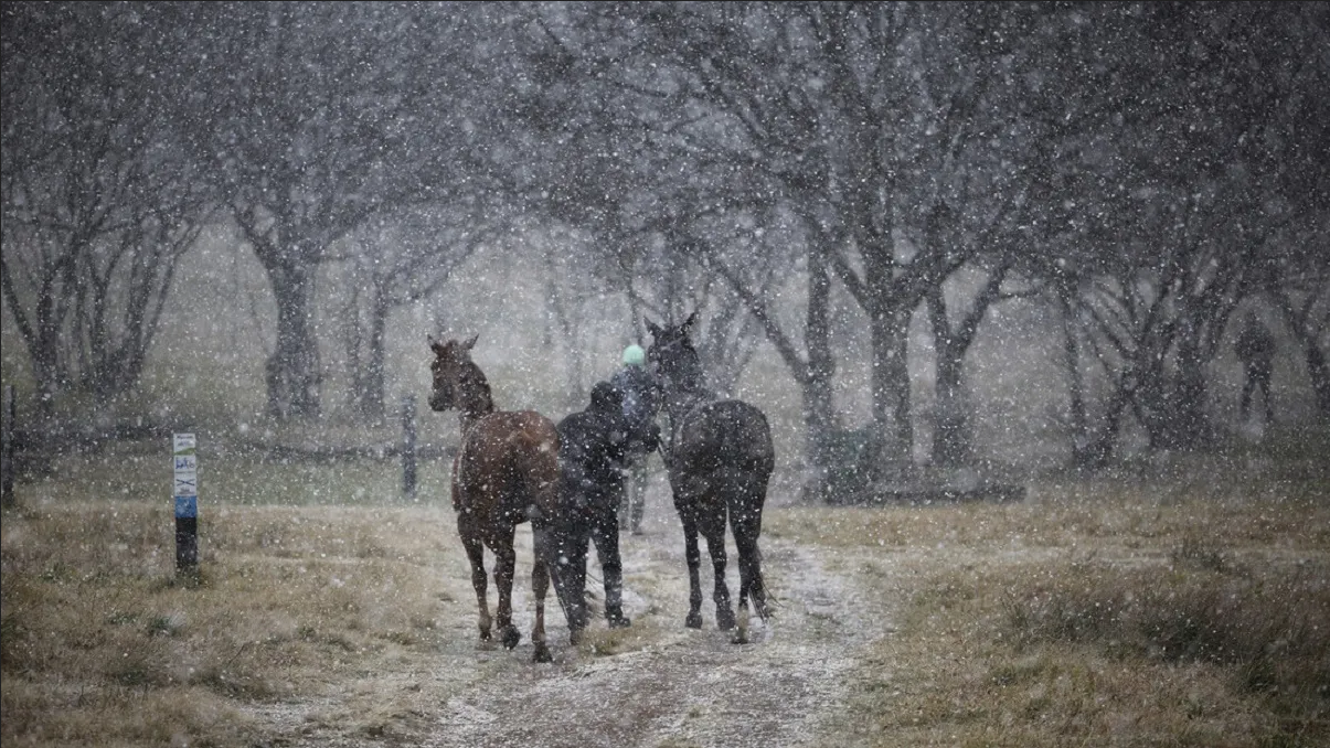 Sudáfrica: Inusual nevada sorprende a habitantes de Johannesburgo