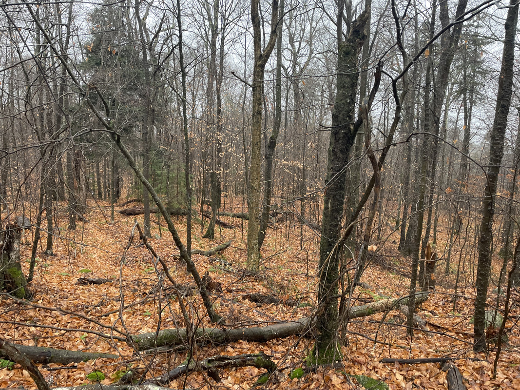 BFC9C43A-329B-4684-8ED3-873579854CA9