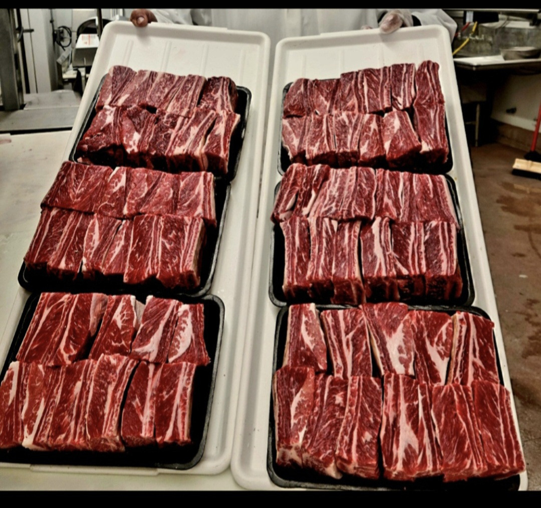 Screenshot 20260226 194512 Gallery