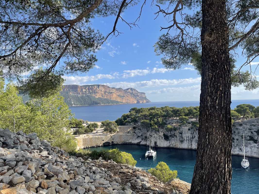 F4944A4A-BEAD-4CF7-BB04-15D69F3EB570