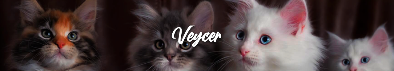 veycercover1