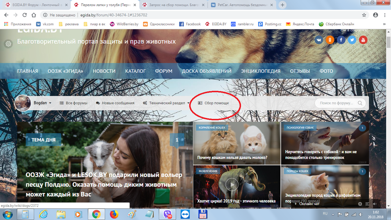 сбор помощи