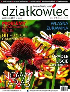Działkowiec 10/2019