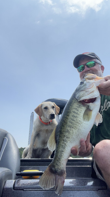 6C51B6AF-EC22-41FA-90E7-52E4A99470DB