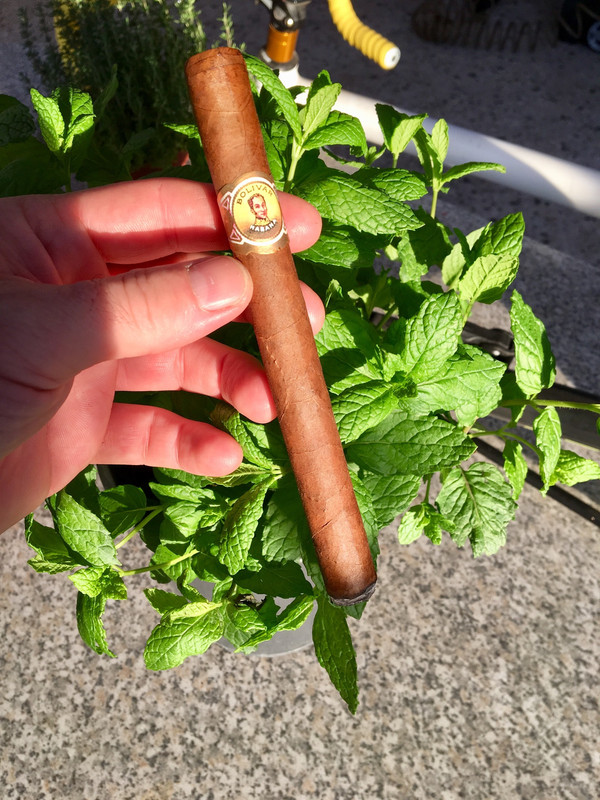 361A736A-4017-48B1-902E-55888F472E4B