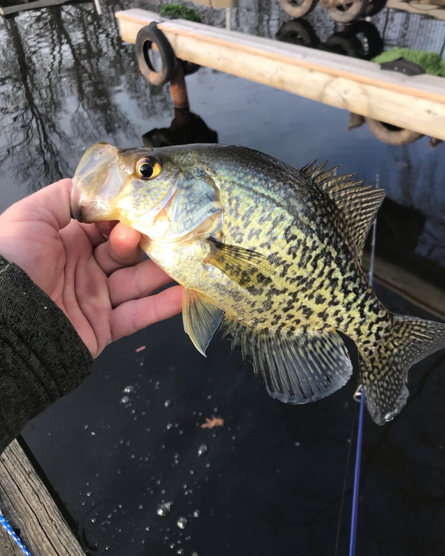 207DE830-F2F1-4177-BB7B-041676231248