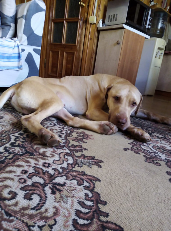 7F9D52A6-2ECC-44F3-AD21-D80F8B6C60DC