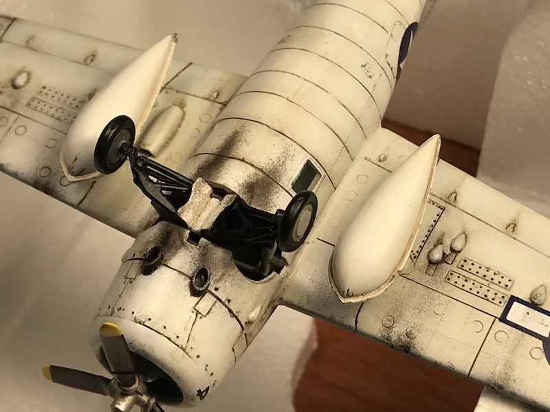 IMG_1558 αντίγραφο 2