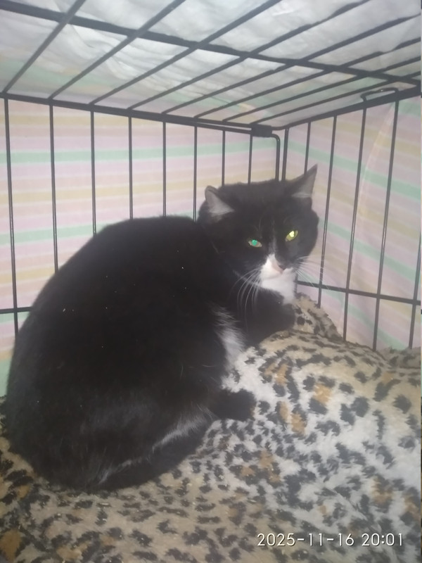 IMG 20251116 200118 HHT