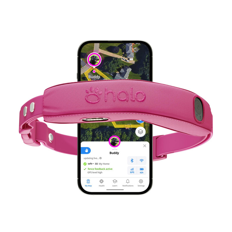 Halo Collar 5 Wireless Dog Fence & GPS Collar Orchid