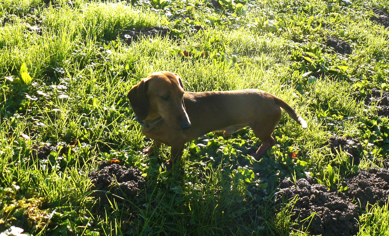 [Image: P1240536.jpg]