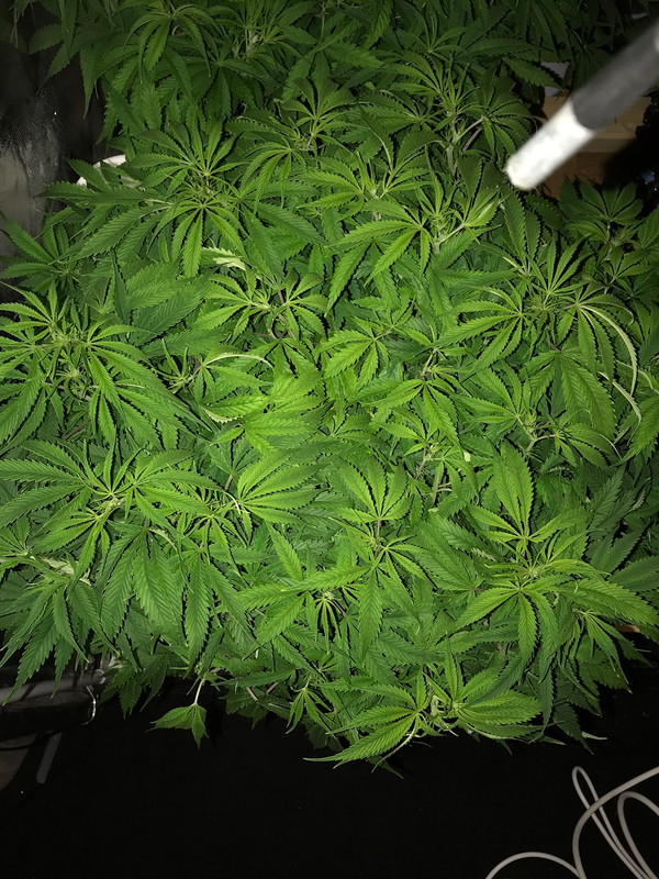 7EA01907-D96C-42D9-B454-6820B3C47AB1