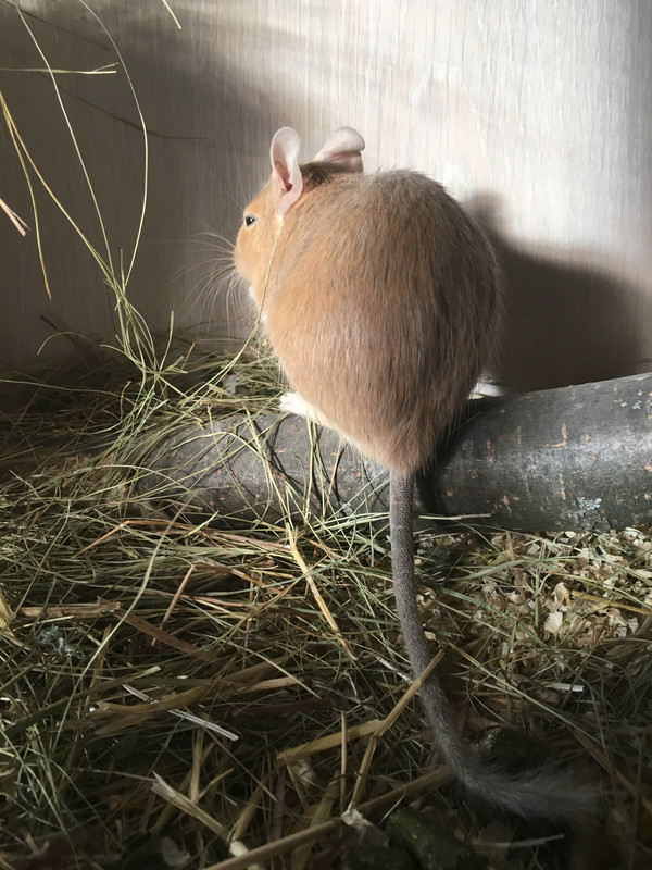 4ECC7097-5343-4E2B-ABB9-197EA01913A4