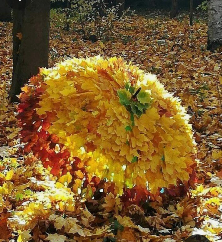 Screenshot_20231112_231818_Pinterest