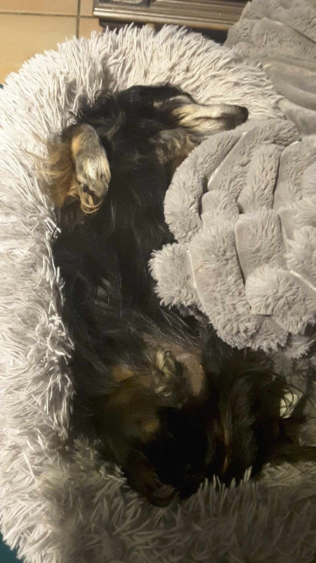 [Image: received-1118726112895794.jpg]