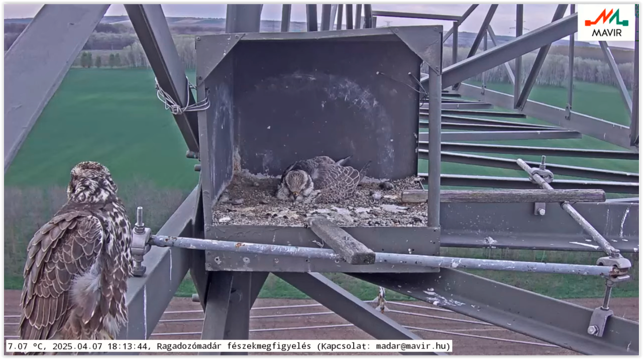 Screen Shot 04-07-25 at 06.14 PM