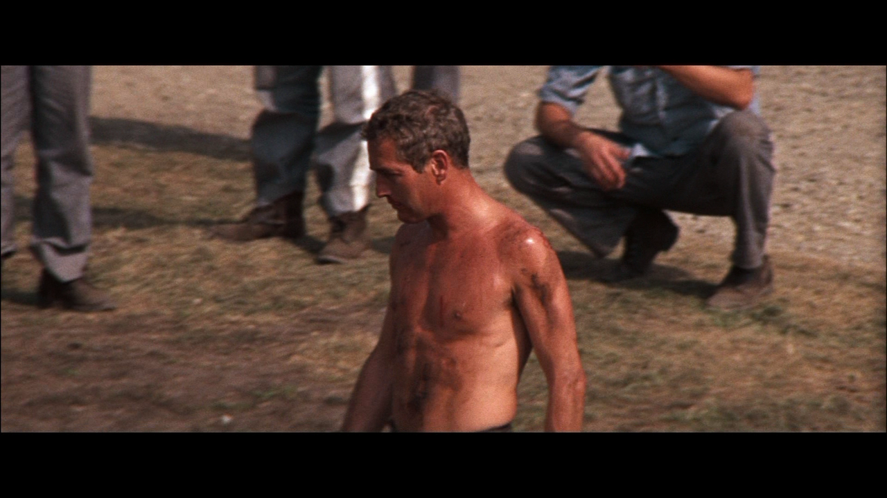 vlcsnap-2024-02-26-21h38m48s440