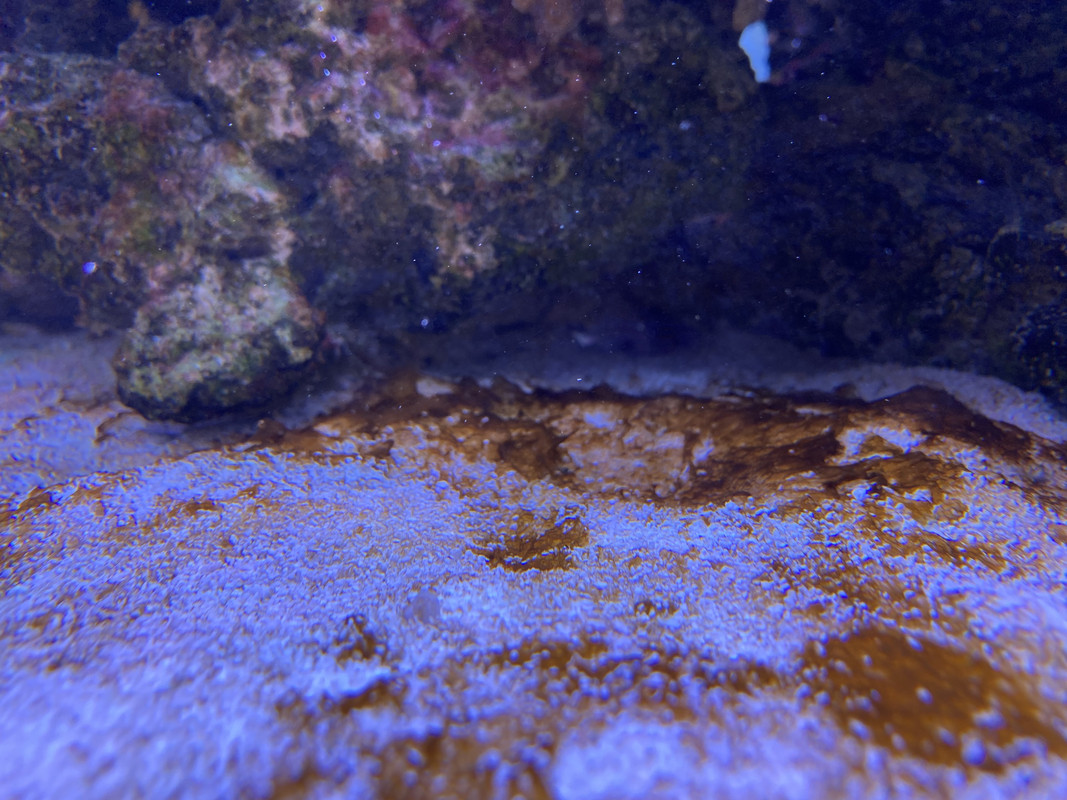 E2B7EAEF-A616-48F3-8E7B-477018D9B0C6