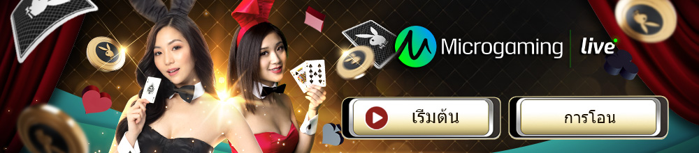 Microgaming Casino