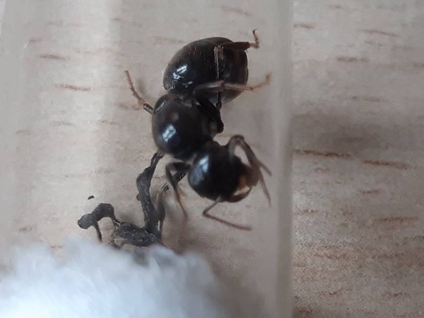 45491668_261052181266240_406372617088401408_n