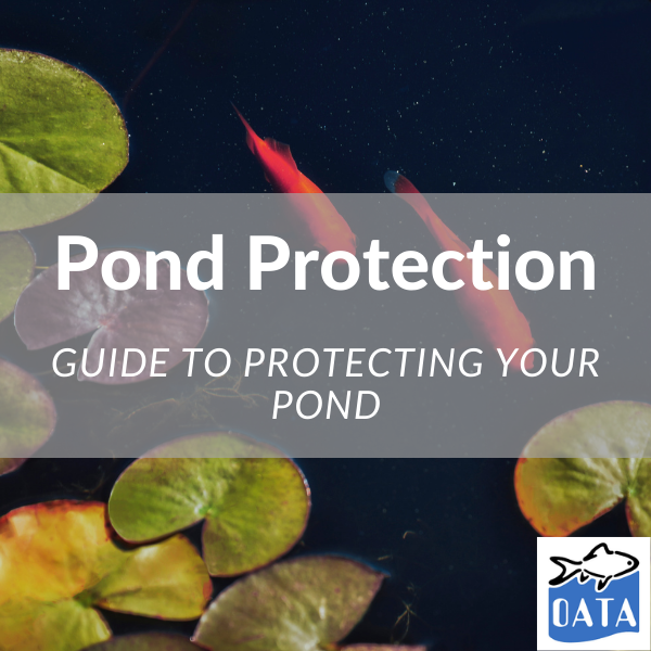 OATA Guide to Protecting a Pond from Predators - Lincs Aquatics 2022. 