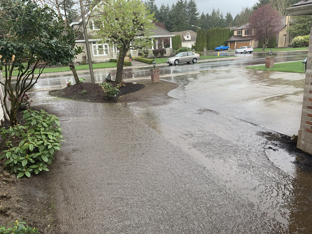 Puddles, puddles, puddles! How can I fix this? Lawn Care Forum