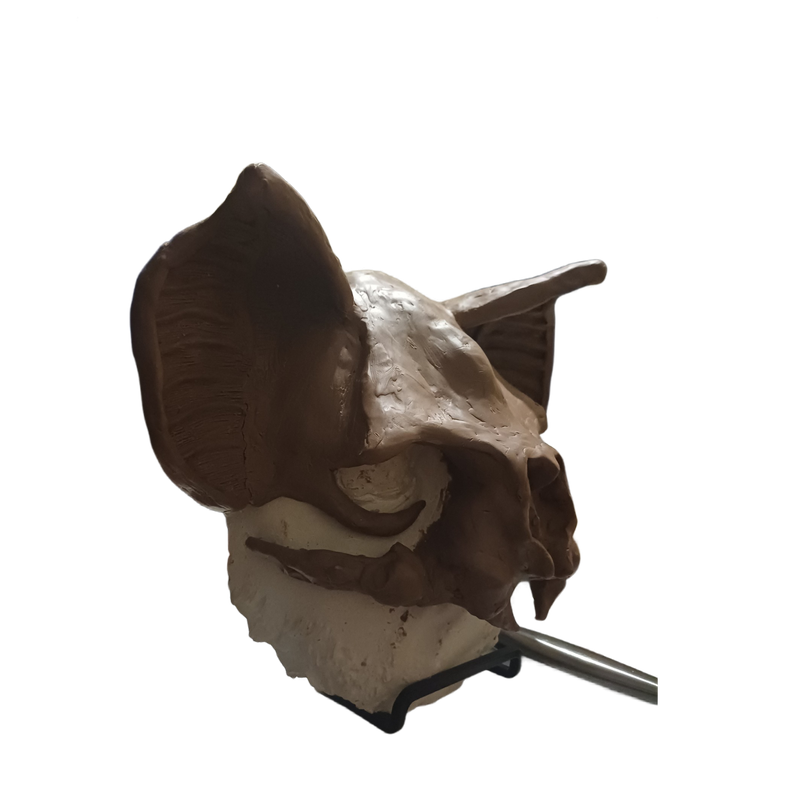 Picsart_25-10-22_18-10-37-620