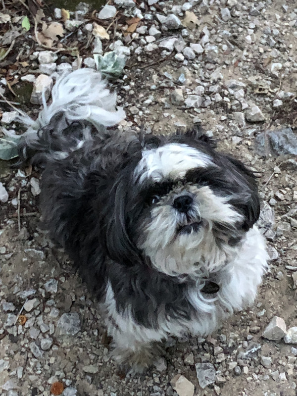 [Image: IMG-6818.jpg]