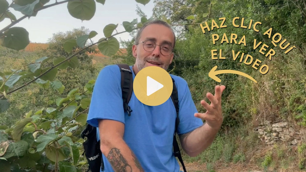 Haz clic para ver el video