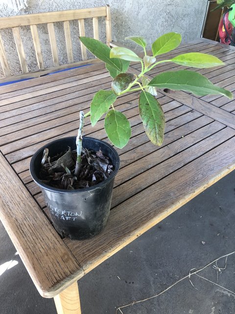 7BAEB84B-84AF-41B0-9F49-E11293C6DFFA