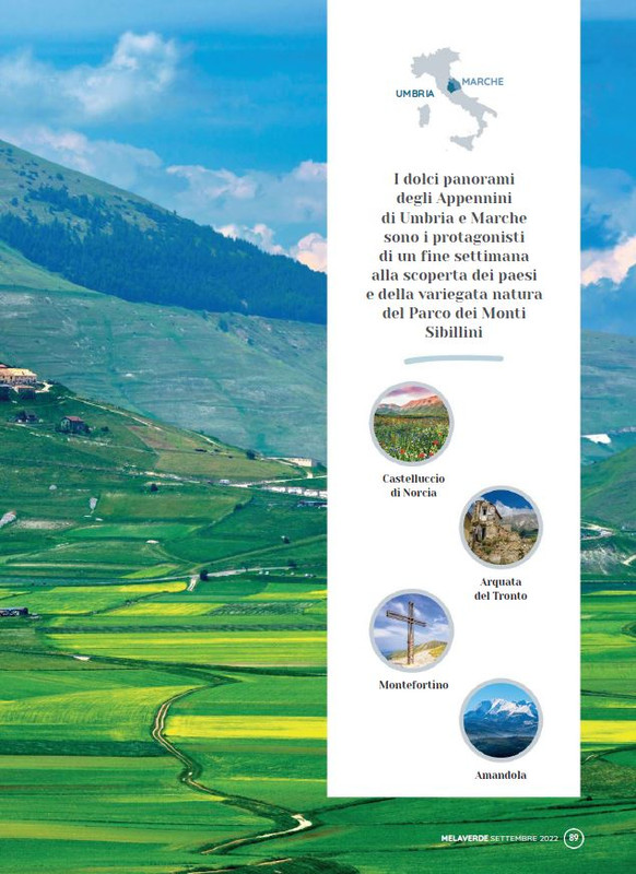 melaverde Set 2022 (12)