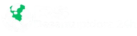 RS Desentupidora 24h