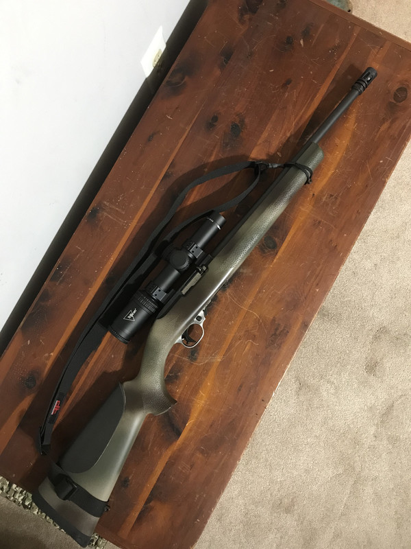 14970EA4-630C-402E-9ACE-76644DD5E3A6