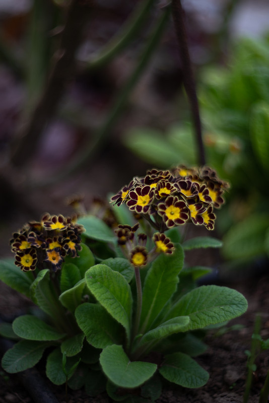 IMG-21202955a382df5b1db8ef690595f25e-V