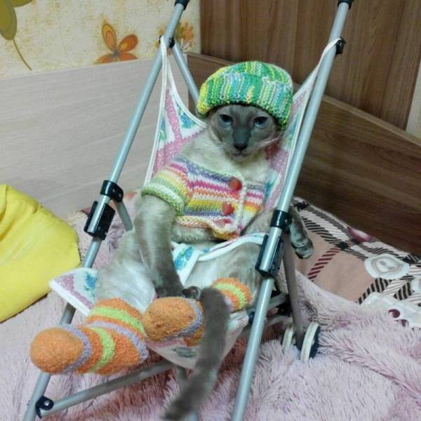 daily-picdump-16-3.jpg