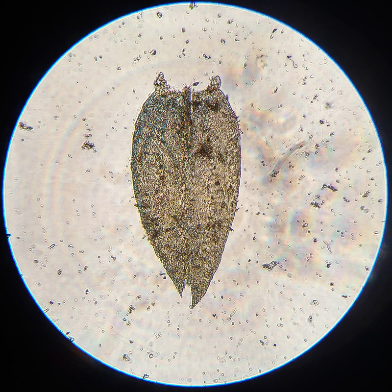 IMG 20250616 220523 HDR