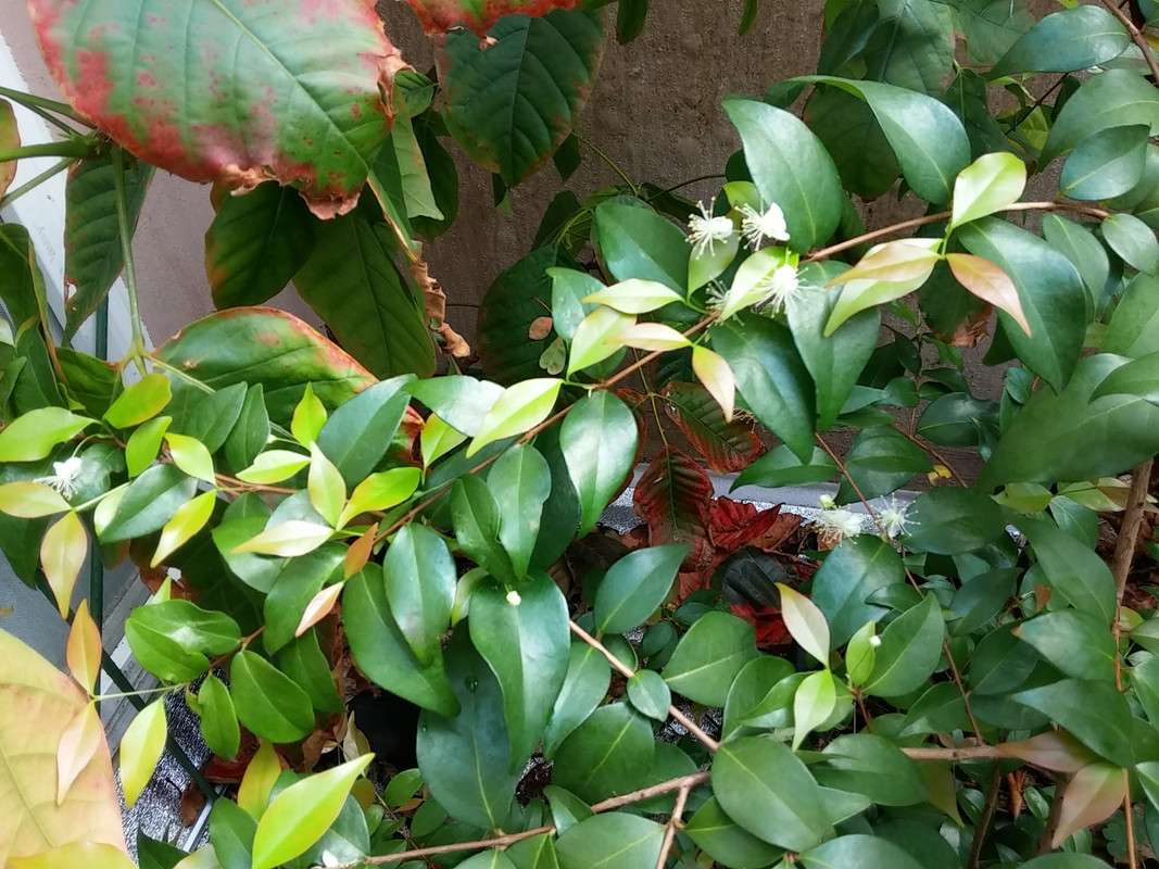 20180312_105507