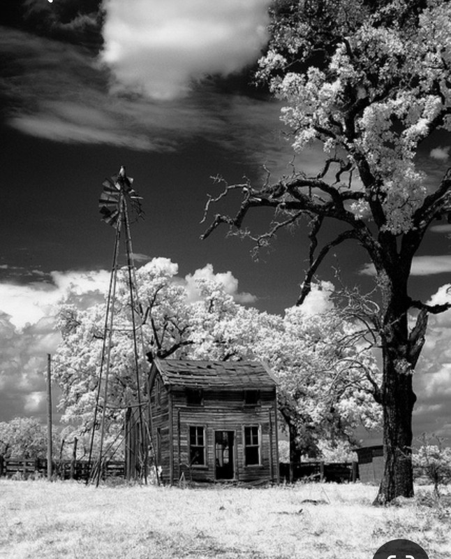 Screenshot_20230412_192104_Pinterest