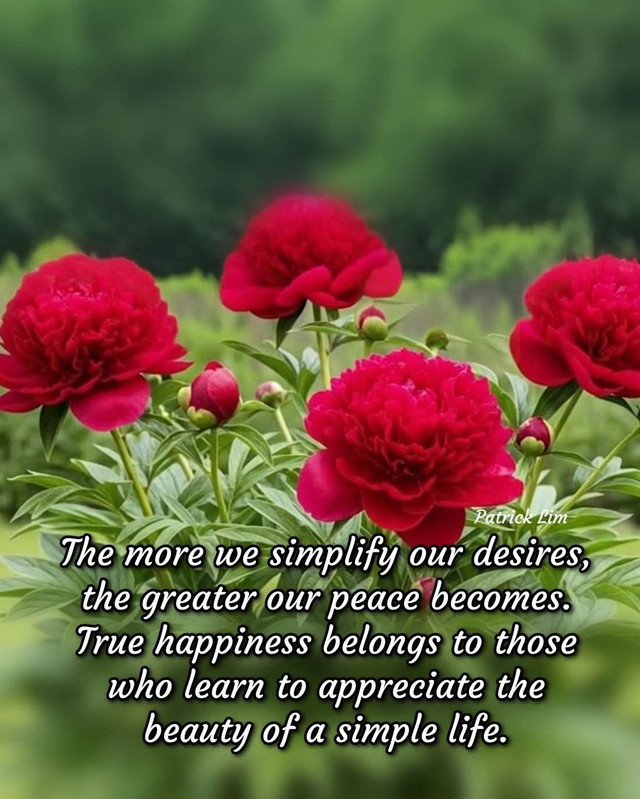 624571346-26283316071253896-7524310290587906129-n